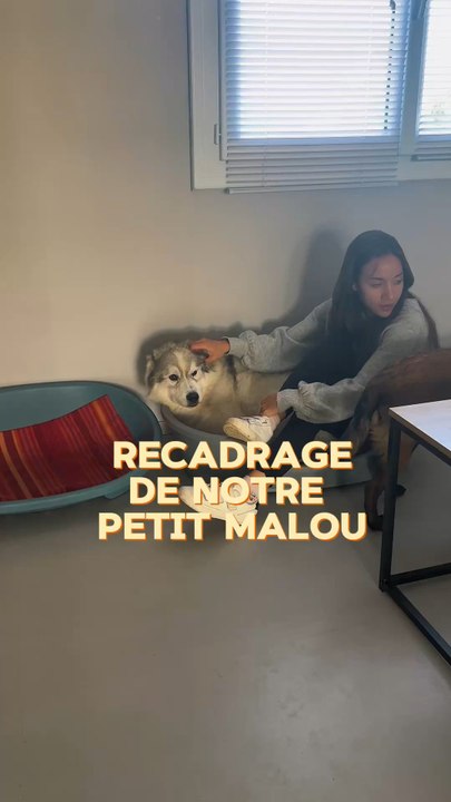 Trop hâte de retrouver la Toun, demain je vous montre 🤩🐻‍❄️