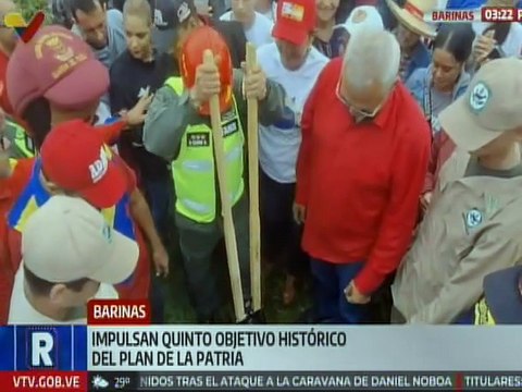 Plan de reforestación en Barinas sembró más de 5 mil árboles de diferentes especies