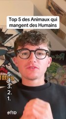 Top 5 des Animaux qui mangent des Humains #animaux #animal #classement #top5