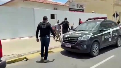 Polícia Civil realiza operação no bairro Pereiros em Pombal 🚓