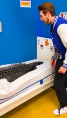 Sleep Tight? Not Tonight! 🛏️💥😂 #prank