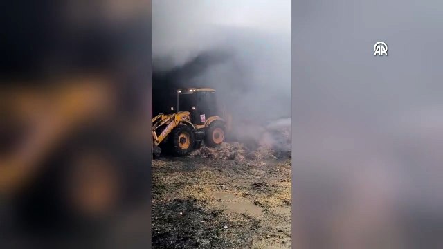 Bursa\'da ahırda yangın: 170 küçükbaş hayvan telef oldu
