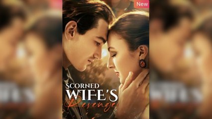 Scorned Wife's Revenge