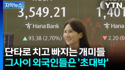 [자막뉴스] 삼성전자·SK하이닉스 쓸어 담은 외국인들 수익률 '상상초월' / YTN