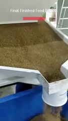 Final Finished Feed Pellets Production Process Showcase