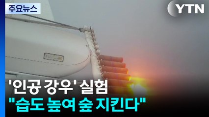 습도 높여 숲 지킨다...'인공 강우' 산불 예방 열쇠될까? / YTN