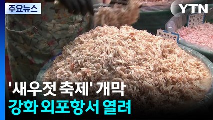 젓갈 향 '솔솔' 강화 외포항...새우젓 축제 개막 / YTN