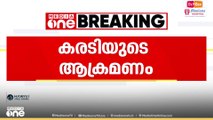 വാൽപ്പാറയിൽ കരടിയുടെ ആക്രമണത്തിൽ യുവാവിന് പരിക്കേറ്റു