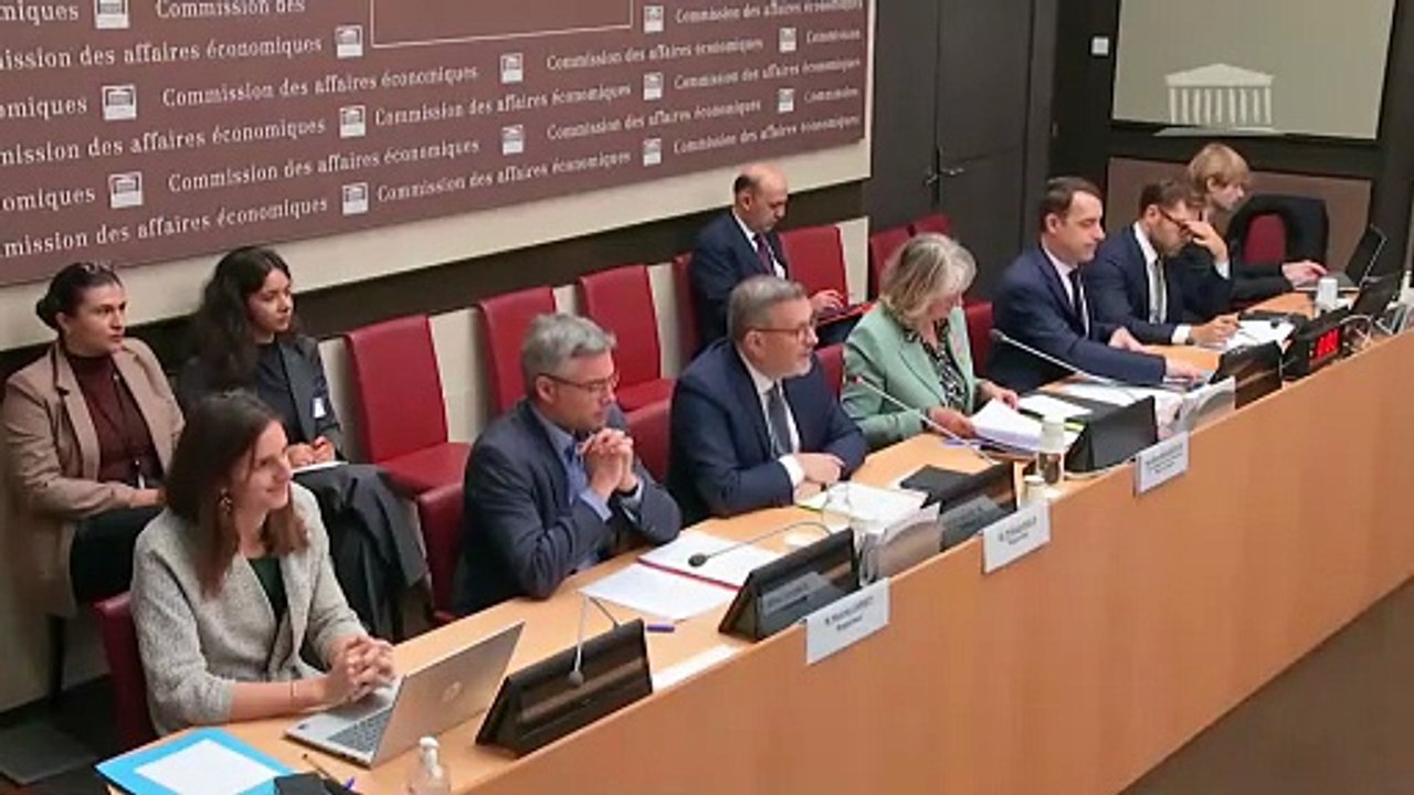 Commission des affaires économiques : Prix de l’électricité, compétitivité des entreprises et action de l’État - Jeudi 9 octobre 2025