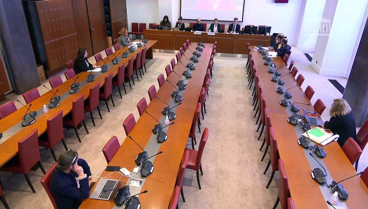 Baisse de la natalité en France : Mme Anne Cécile Violland, députée, et Mme Pascale Martin, ancienne députée, co-auteures du rapport sur la santé mentale des femmes - Jeudi 9 octobre 2025