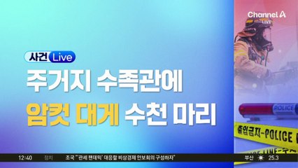 연중 포획 금지된 암컷 대게…집 수족관에 ‘암컷 2천 마리’