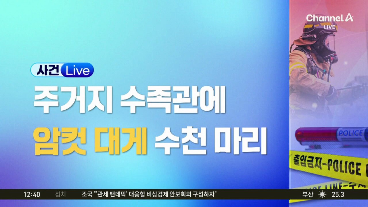 연중 포획 금지된 암컷 대게…집 수족관에 ‘암컷 2천 마리’