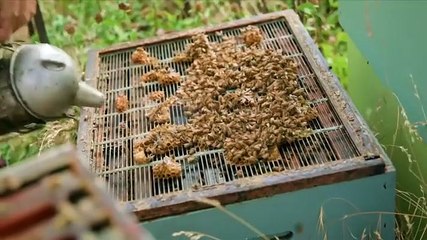 Nadia's Farm Kitchen Season 1 Episode 3