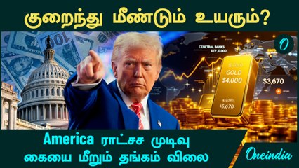 Gold Price குறைந்து மீண்டும் உயரும்!  America ராட்சச முடிவு...கையை மீறும் தங்கம் விலை