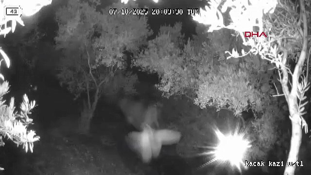 Define bulduklarını sanmışlardı... Kaçak tarihi eser kazısı böyle bitti!