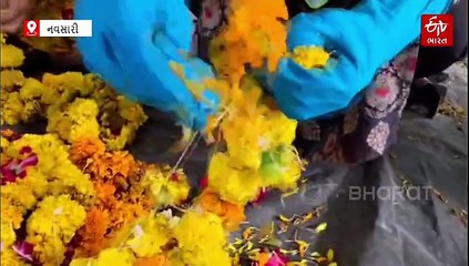 નવસારીમાં વેસ્ટ પૂજાપાના ફુલોને મહિલા સફાઈકર્મીઓએ આપી નવી ઓળખ, દિવાળીમાં ઘેર-ઘેર મહેકશે
