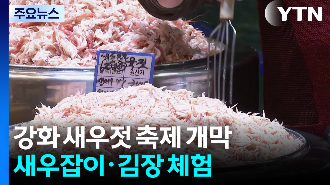 가을 바다 정취 '물씬'...강화 새우젓 축제 / YTN