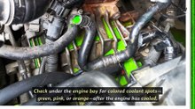 What is the best way to diagnose a coolant leak in a Mini Cooper