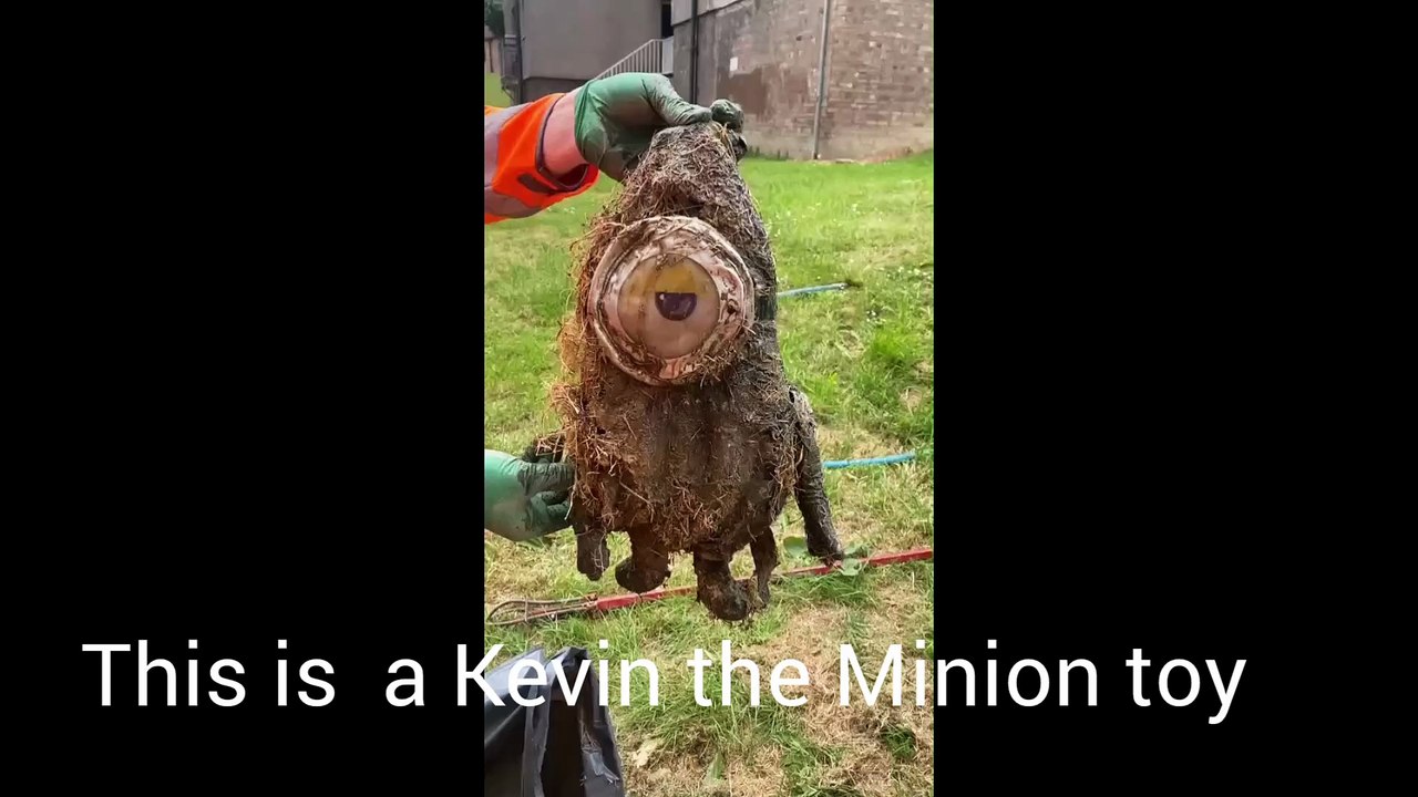 Kevin the Minion caused drain blockage in Sheffield