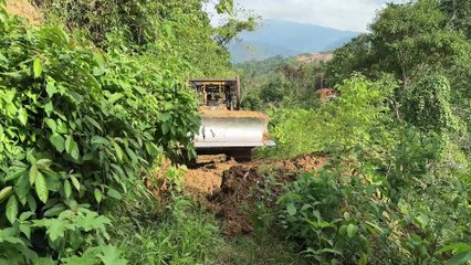 Reviving Old Plantation Road Infrastructure with a D6R XL Bulldozer