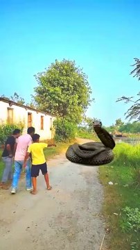 एक हनुमान भक्त की कहानी 🚩🙏 जय हनुमान #shortvideo #viralvideo #youtubeshorts #shorts..