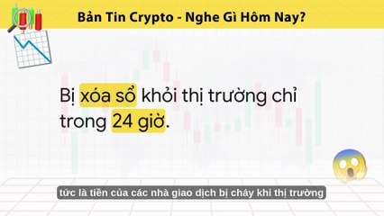 Bản Tin Thị Trường Crypto Ngày 10/10/2025: Tâm Lý Giảm Giá Hiện Hữu Cùng Dòng Tiền ETF Ổn Định