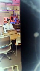 Marrying the East Wind after a Long Time - English Sub