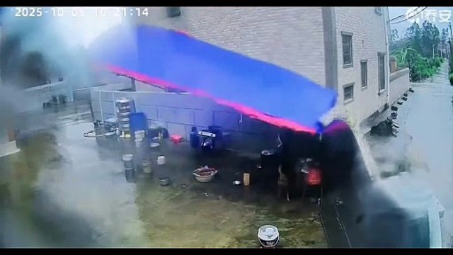 Ce chien se fait emporter par la tempête... chanceux