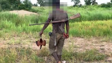 Ghana hunting ban helps threatened species but faces pushback
