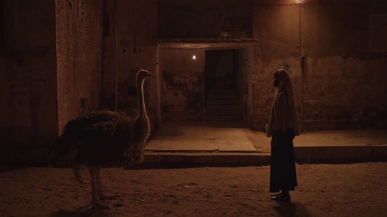 Aisha Can't Fly Away Teaser OV