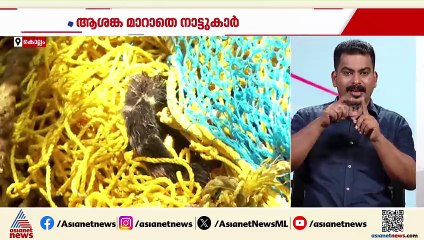 കിണറ്റിൽ വീണ പുലിയെ മണിക്കൂറുകൾക്ക് ഒടുവിൽ പുറത്തെടുത്തു