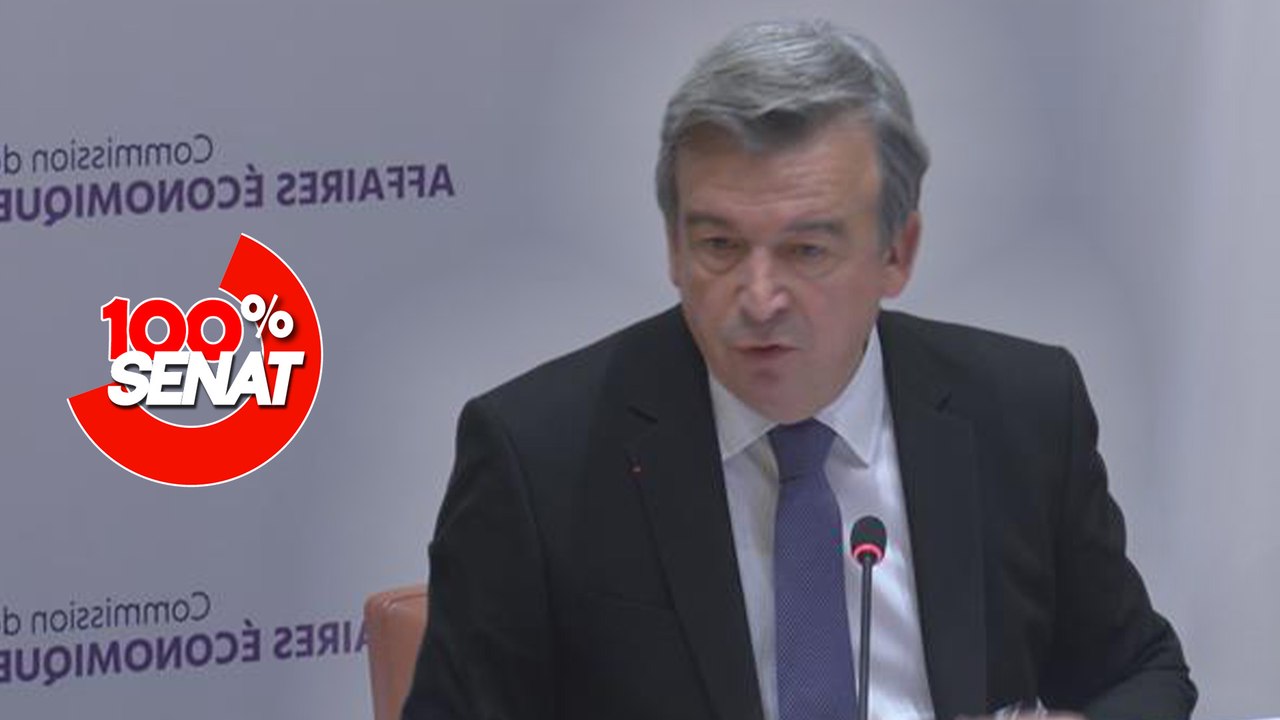 100% Sénat - Crise du logement : où en est le secteur du bâtiment ?