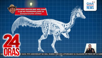 Pambihirang fossil umano ng dinosaur na nanirahan sa Argentina 70M years ago, nahukay | 24 Oras