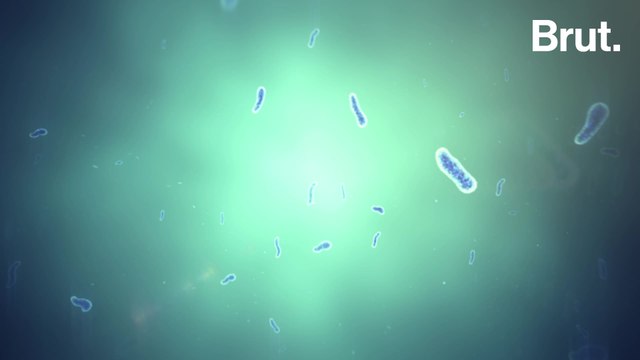 Manipulations génétiques, virus créés par l’IA, bactéries miroirs : quelles limites à la recherche scientifique ?