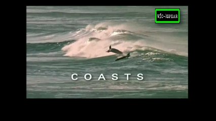 África Salvaje: Costas - Documental (2001) Español Latino - Episodio 4