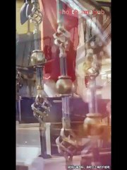 The Swan's Silent Flight In Stillness Her Heart Took Flight