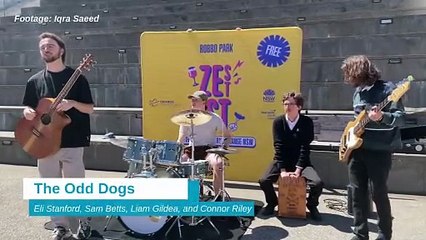 Odd Dogs local band playing music