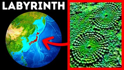 Mysterious Forest in Japan Where Trees Grow in Circles