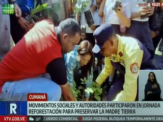 Sucre | Movimientos sociales siembran mil 800 especies impulsando la reforestación nacional