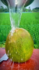 "Stunning & Easy: Beautiful Pomelo Fruit Cutting Technique That Will Blow Your Mind!"
