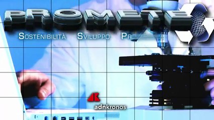 Sostenibilità: Guinci (Entain Italia), ‘la pratichiamo prendendoci cura degli altri e del futuro’