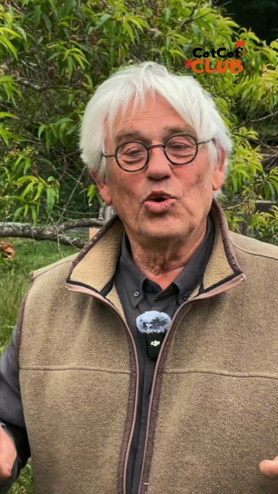 Quelle est la surface nécessaire pour accueillir des poules chez soi ? 🐔