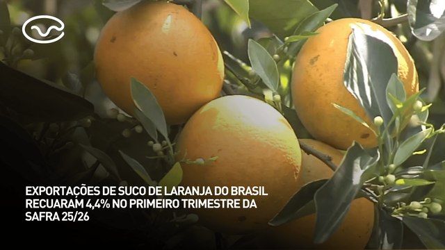 Exportações de suco de laranja do Brasil recuaram 4,4% no primeiro trimestre da safra 25/26