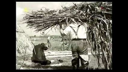 MĘŻCZYŹNI NA WYSPIE ---POLSKI FILM PSYCHOLOGICZNY