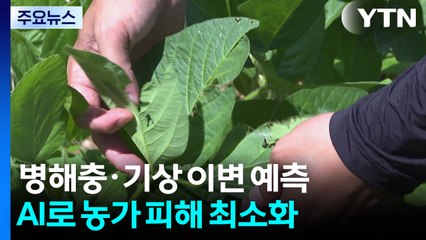 AI로 병해충·기상 이변 사전 예측...농가 피해 최소화 / YTN