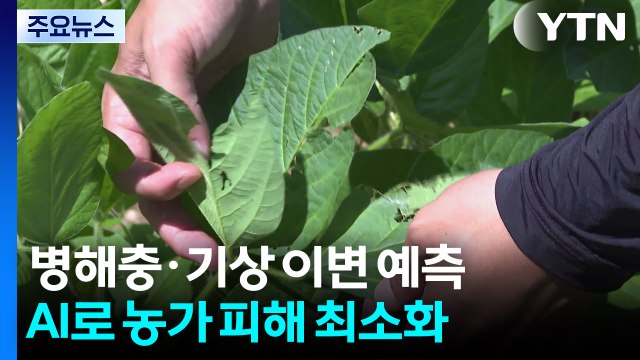 AI로 병해충·기상 이변 사전 예측...농가 피해 최소화 / YTN