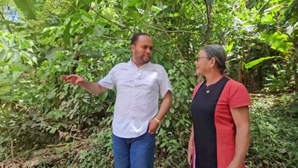 ext-publireportaje-telecable-101025