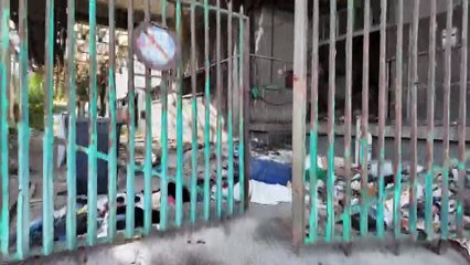 Rtp telegiornale 10 Ottobre 2025