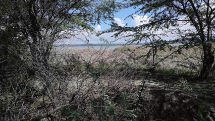 La Laguna de Cabral agoniza: imágenes muestran su alarmante realidad (5)