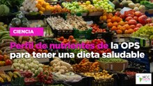 Perfil de nutrientes de la OPS para tener una dieta saludable